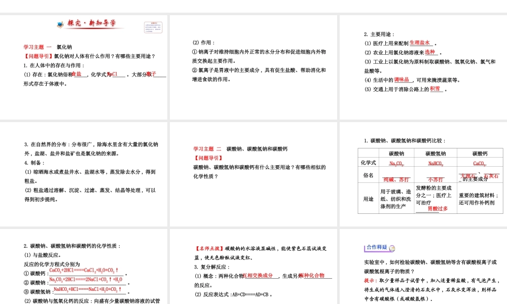 【世纪金榜】2014新学期中考化学一轮复习 九下 生活中常见的盐（同步知识点汇集+含2013教师典型题）课件 新人教版