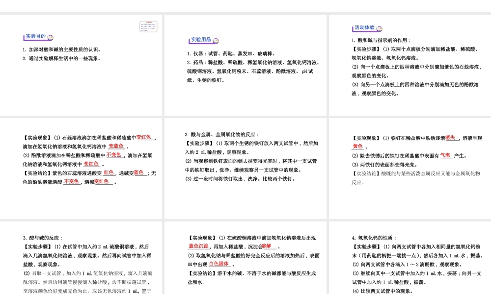 【世纪金榜】2014新学期中考化学一轮实验活动复习 九下 酸、碱的化学性质（同步知识点汇集+含2013教师典型题）课件 新人教版