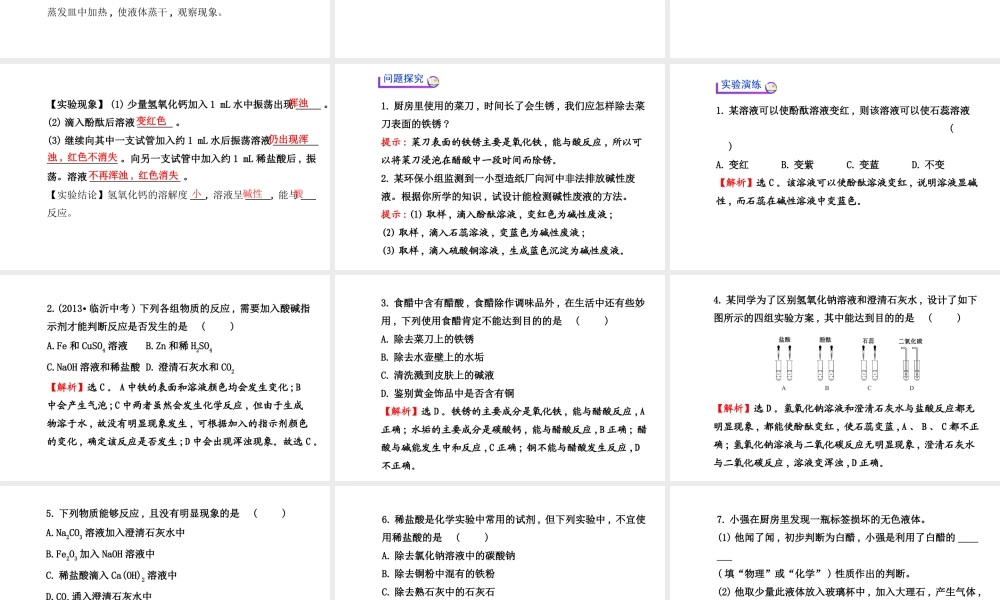【世纪金榜】2014新学期中考化学一轮实验活动复习 九下 酸、碱的化学性质（同步知识点汇集+含2013教师典型题）课件 新人教版