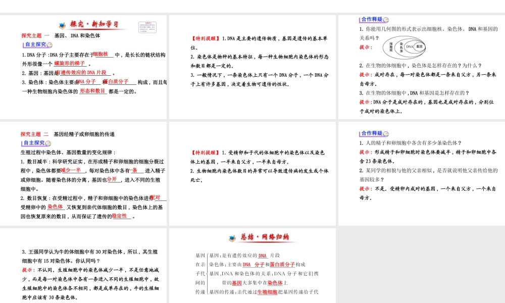 【世纪金榜】2014新学期中考生物 八下 基因在亲子代间的传递 （知识点汇集+含2013教师典型题）复习课件 新人教版