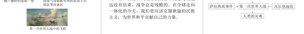 2020九年级历史下册 第三单元 第一次世界大战和战后初期的世界 第8课 第一次世界大战课件2 新人教版-新人教版初中九年级下册历史课件