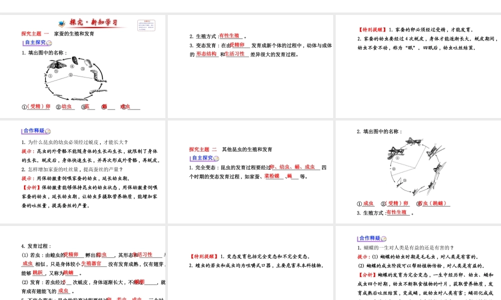 【世纪金榜】2014新学期中考生物 八下 昆虫的生殖和发育 （知识点汇集+含2013教师典型题）复习课件 新人教版