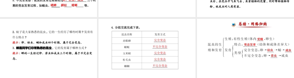 【世纪金榜】2014新学期中考生物 八下 昆虫的生殖和发育 （知识点汇集+含2013教师典型题）复习课件 新人教版