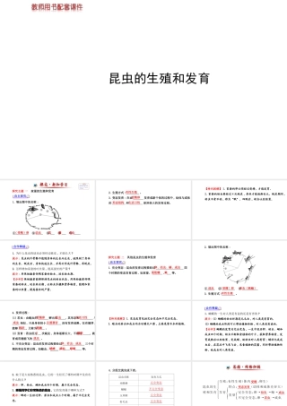 【世纪金榜】2014新学期中考生物 八下 昆虫的生殖和发育 （知识点汇集+含2013教师典型题）复习课件 新人教版
