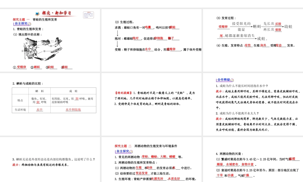 【世纪金榜】2014新学期中考生物 八下 两栖动物的生殖和发育 （知识点汇集+含2013教师典型题）复习课件 新人教版