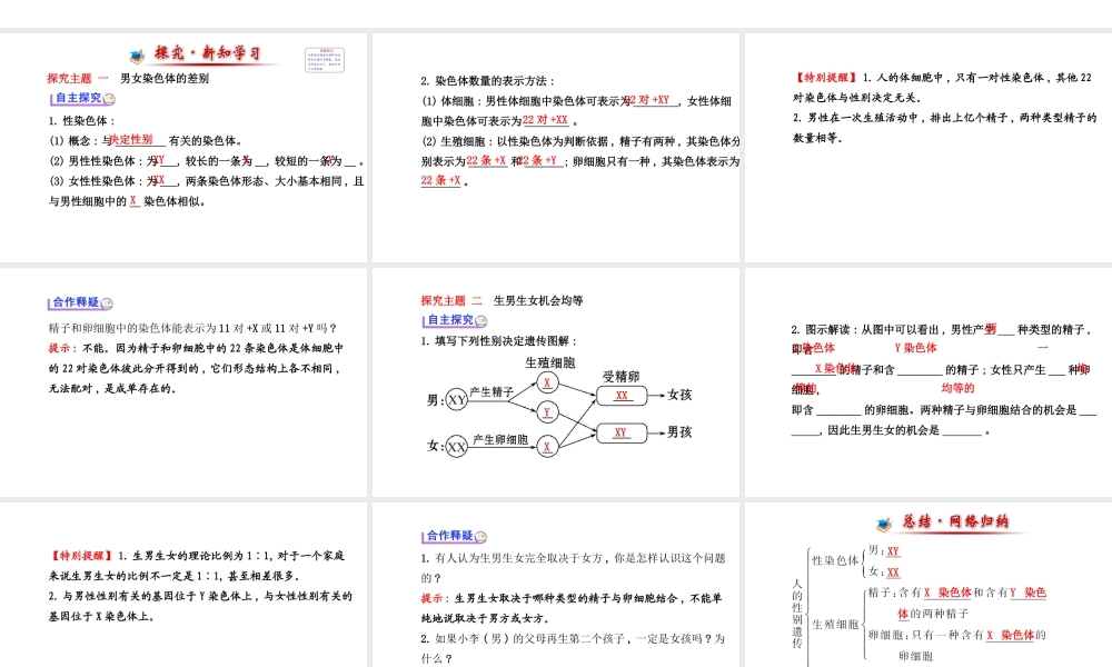 【世纪金榜】2014新学期中考生物 八下 人的性别遗传 （知识点汇集+含2013教师典型题）复习课件 新人教版