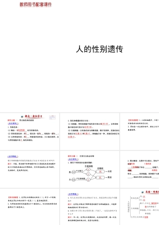 【世纪金榜】2014新学期中考生物 八下 人的性别遗传 （知识点汇集+含2013教师典型题）复习课件 新人教版