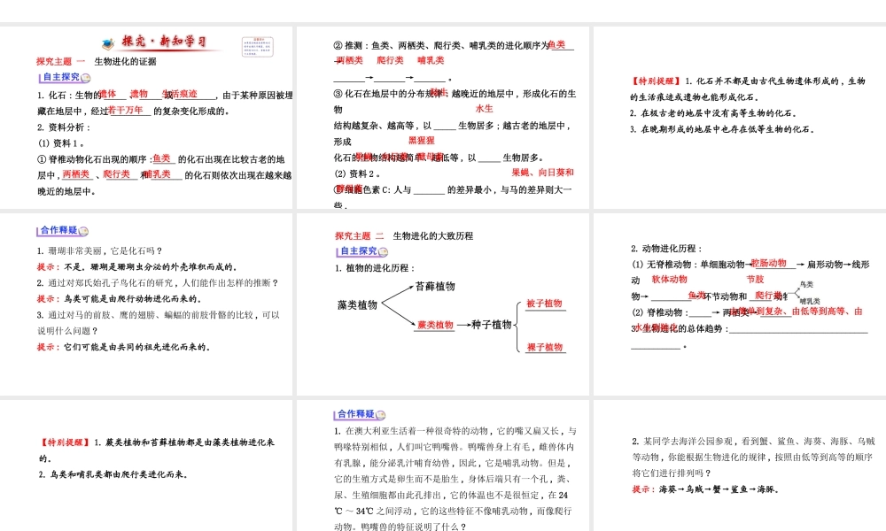 【世纪金榜】2014新学期中考生物 八下 生物进化的历程 （知识点汇集+含2013教师典型题）复习课件 新人教版