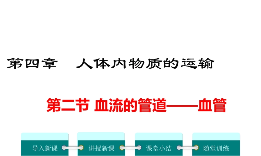 2019年春七年级生物下册 第四单元 第四章 第二节 血流的管道 血管课件 （新版）新人教版