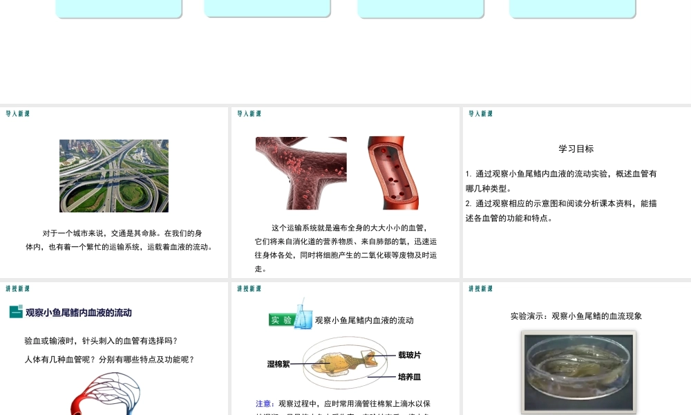 2019年春七年级生物下册 第四单元 第四章 第二节 血流的管道 血管课件 （新版）新人教版