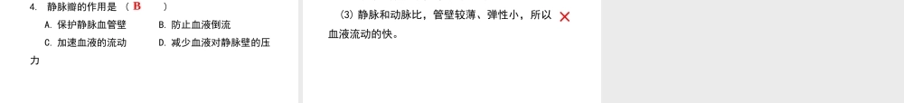 2019年春七年级生物下册 第四单元 第四章 第二节 血流的管道 血管课件 （新版）新人教版