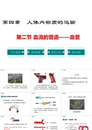 2019年春七年级生物下册 第四单元 第四章 第二节 血流的管道 血管课件 （新版）新人教版