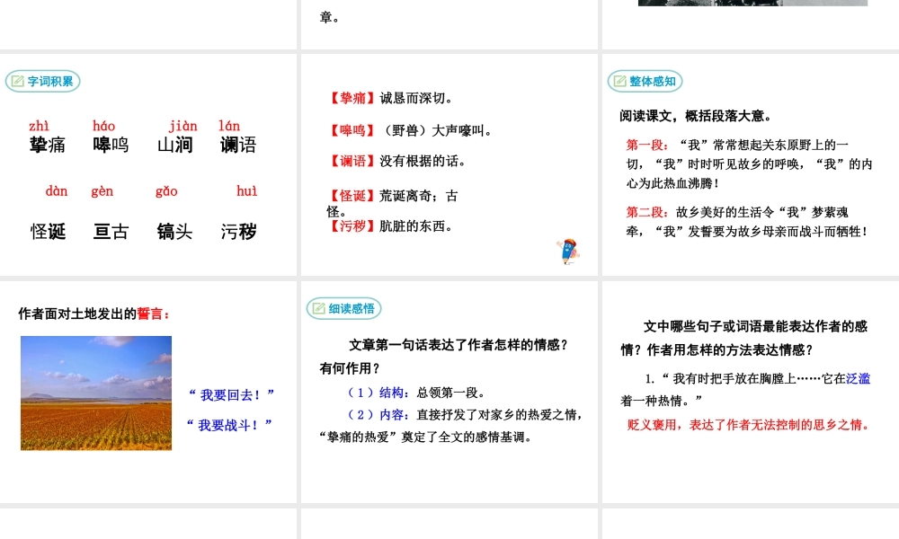2019年春七年级语文下册 第二单元 7《土地的誓言》课件 新人教版