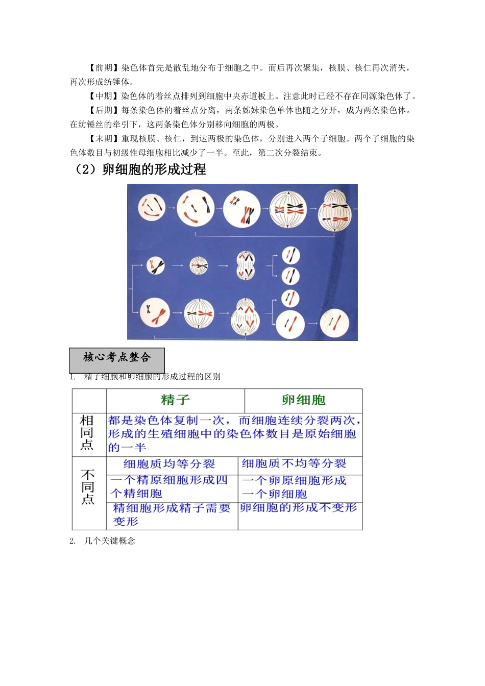 河北省2011届高三生物一轮复习精品教案 5 遗传的细胞基础 新人教版_第3页