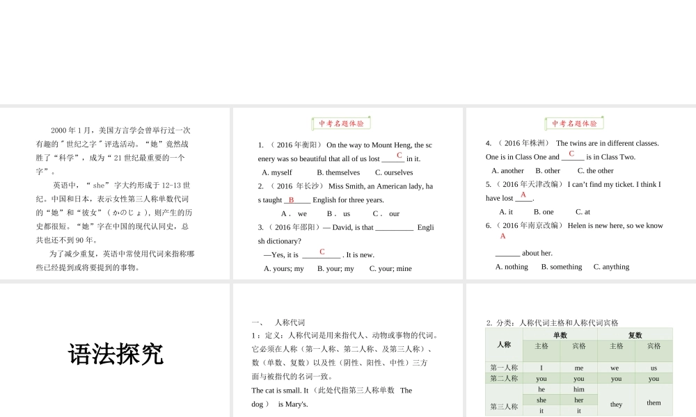 PK中考湖南省中考英语总复习 语法专题二 代词课件-人教版初中九年级全册英语课件