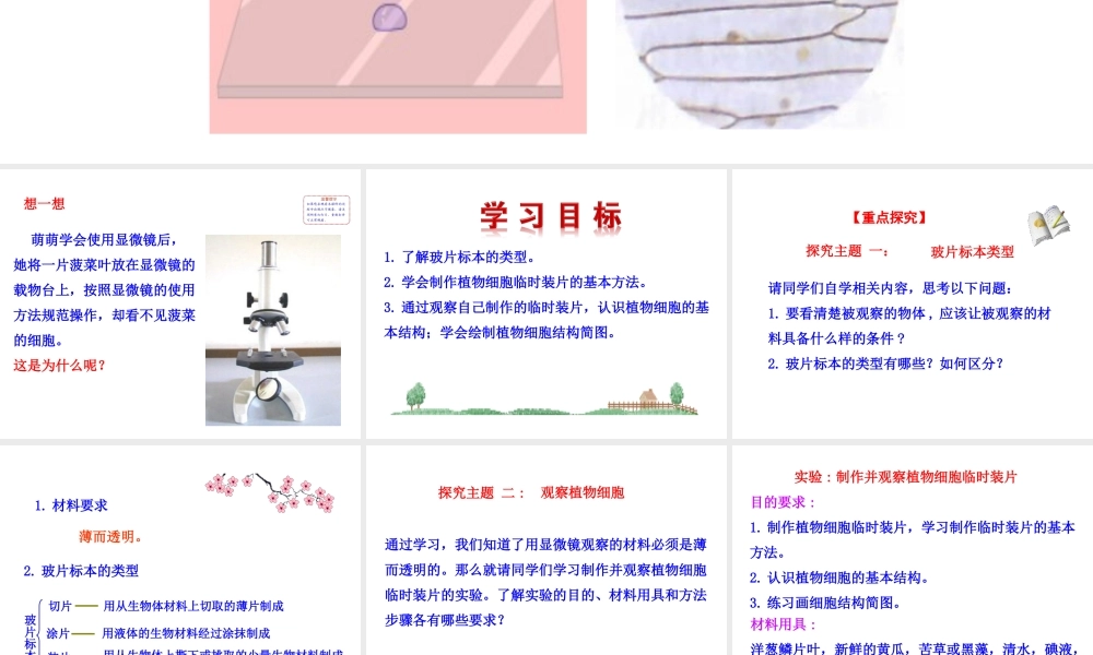 【世纪金榜】2015-2016学年七年级生物上册 2.1.2 植物细胞教学课件 （新版）新人教版