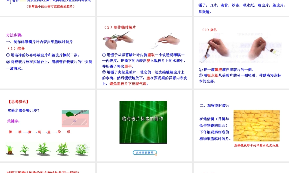 【世纪金榜】2015-2016学年七年级生物上册 2.1.2 植物细胞教学课件 （新版）新人教版