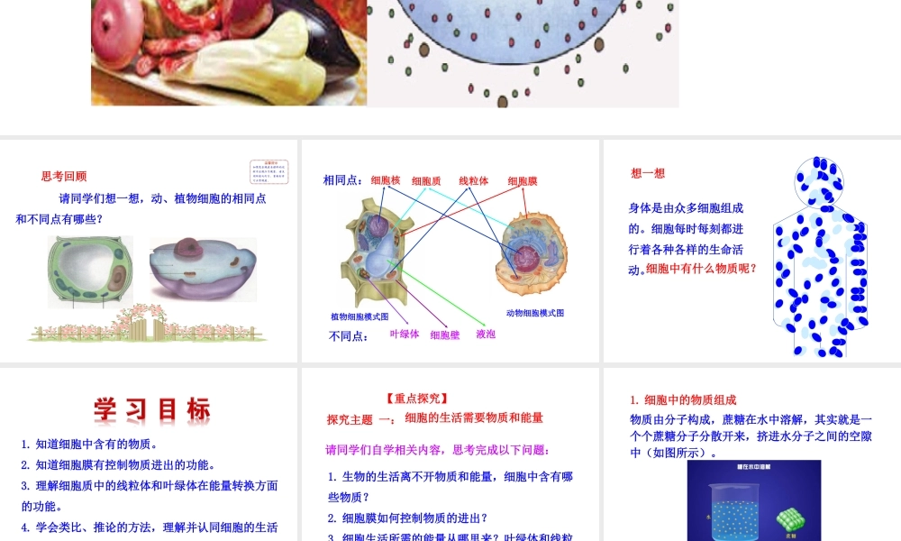【世纪金榜】2015-2016学年七年级生物上册 2.1.4 细胞的生活课件教学课件 （新版）新人教版