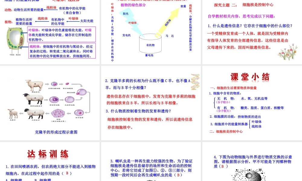 【世纪金榜】2015-2016学年七年级生物上册 2.1.4 细胞的生活课件教学课件 （新版）新人教版