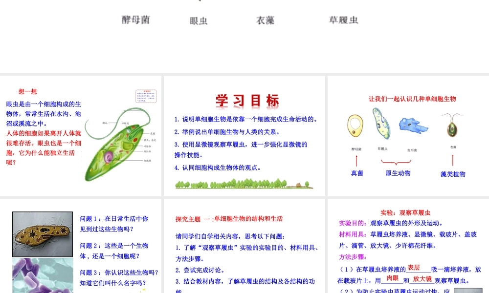 【世纪金榜】2015-2016学年七年级生物上册 2.2.4 单细胞生物教学课件 （新版）新人教版