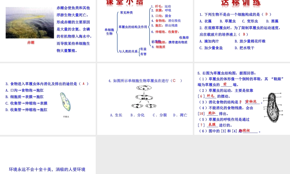 【世纪金榜】2015-2016学年七年级生物上册 2.2.4 单细胞生物教学课件 （新版）新人教版
