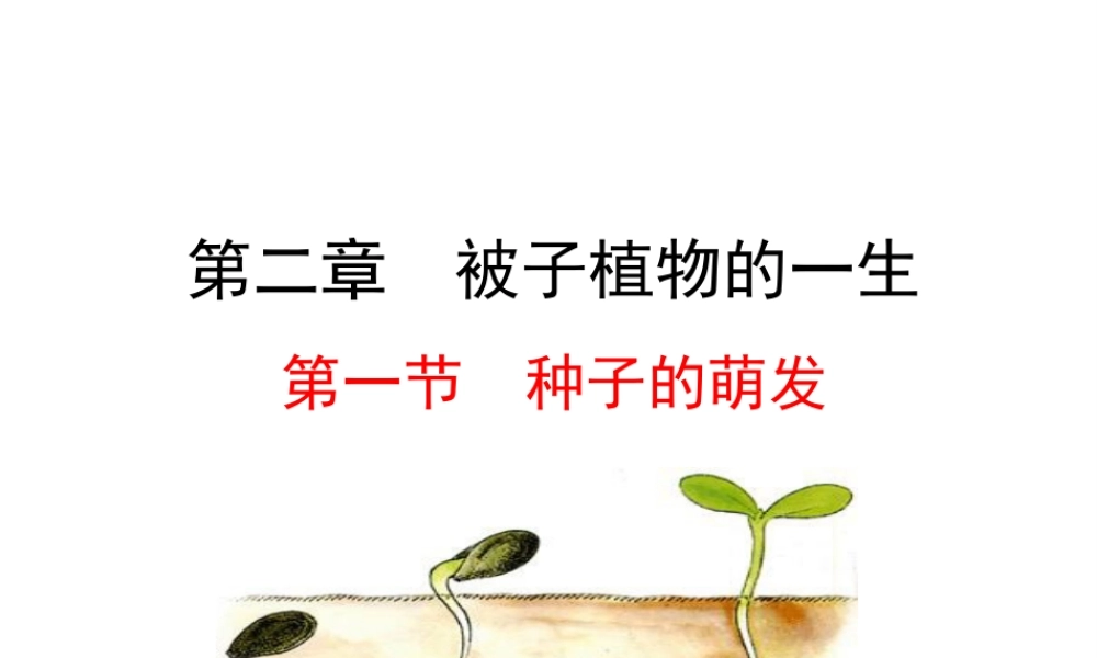 【世纪金榜】2015-2016学年七年级生物上册 3.2.1 种子的萌发教学课件 （新版）新人教版