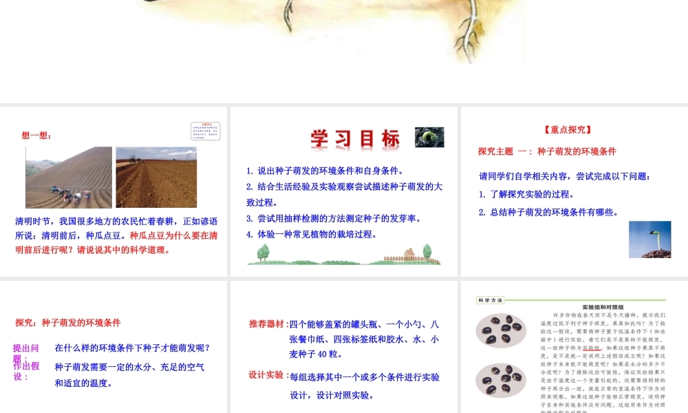 【世纪金榜】2015-2016学年七年级生物上册 3.2.1 种子的萌发教学课件 （新版）新人教版