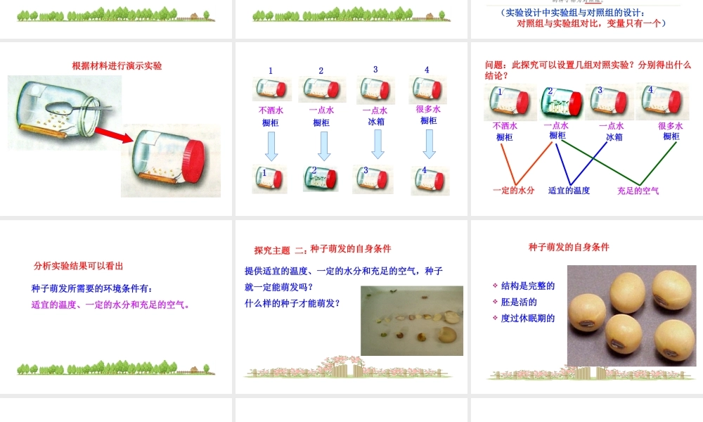 【世纪金榜】2015-2016学年七年级生物上册 3.2.1 种子的萌发教学课件 （新版）新人教版