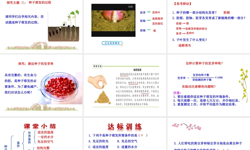 【世纪金榜】2015-2016学年七年级生物上册 3.2.1 种子的萌发教学课件 （新版）新人教版
