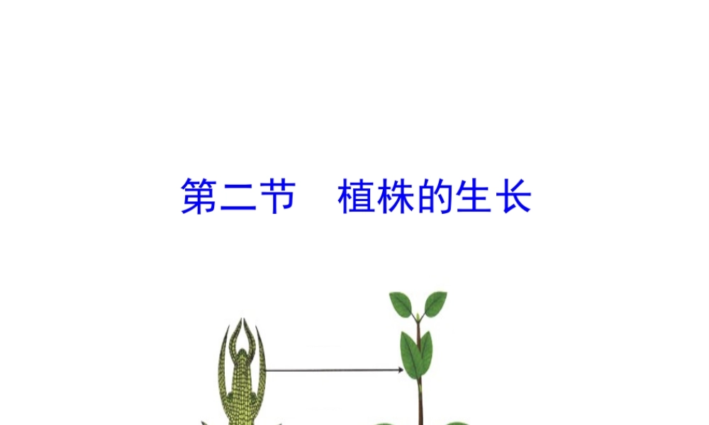 【世纪金榜】2015-2016学年七年级生物上册 3.2.2 植株的生长教学课件 （新版）新人教版