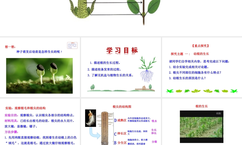 【世纪金榜】2015-2016学年七年级生物上册 3.2.2 植株的生长教学课件 （新版）新人教版