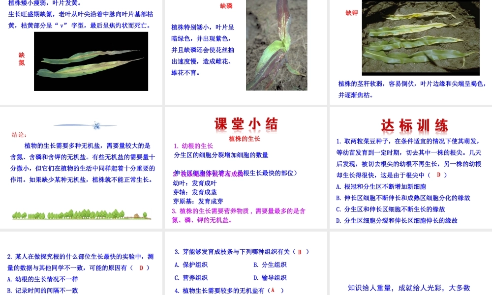 【世纪金榜】2015-2016学年七年级生物上册 3.2.2 植株的生长教学课件 （新版）新人教版