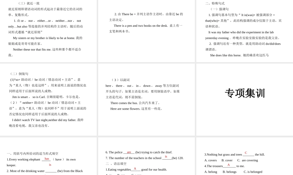 PK中考湖南省中考英语总复习 语法专题十四 主谓一致和特殊句式课件-人教版初中九年级全册英语课件