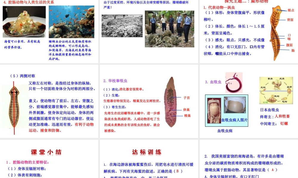 【世纪金榜】八年级生物上册 情境互动课型 5.1.1 腔肠动物和扁形动物课件 （新版）新人教版