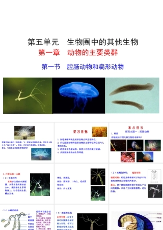 【世纪金榜】八年级生物上册 情境互动课型 5.1.1 腔肠动物和扁形动物课件 （新版）新人教版