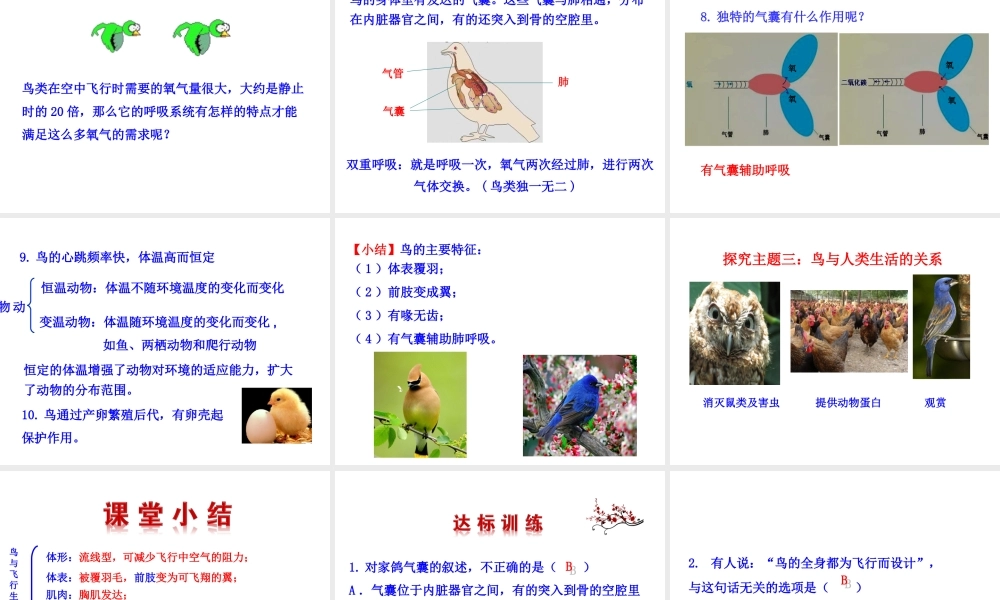 【世纪金榜】八年级生物上册 情境互动课型 5.1.6 鸟课件 （新版）新人教版