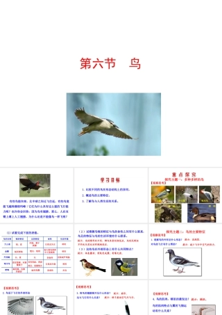 【世纪金榜】八年级生物上册 情境互动课型 5.1.6 鸟课件 （新版）新人教版