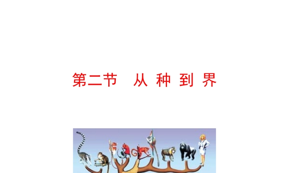 【世纪金榜】八年级生物上册 情境互动课型 6.1.2 从种到界课件 （新版）新人教版