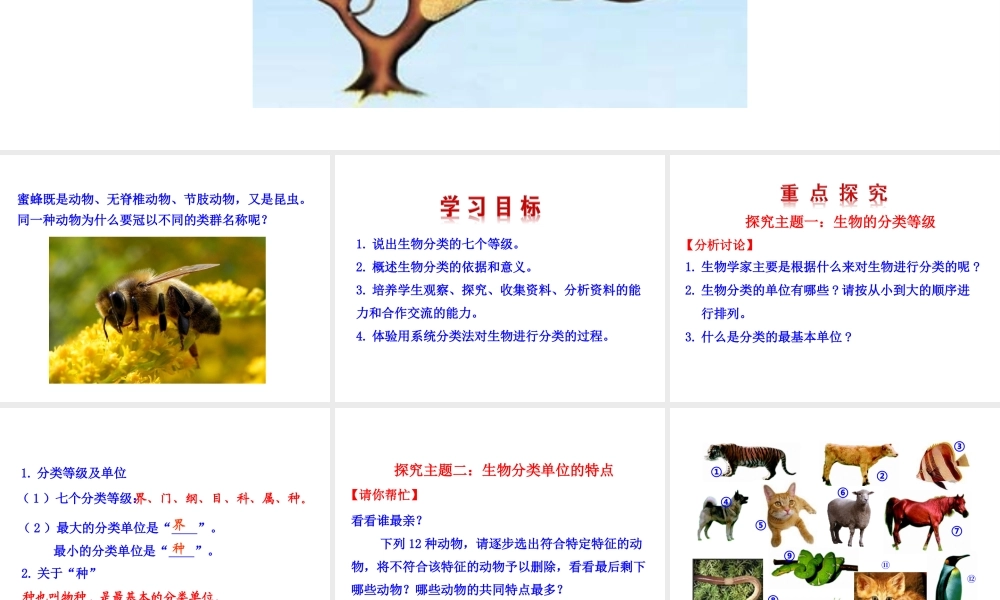 【世纪金榜】八年级生物上册 情境互动课型 6.1.2 从种到界课件 （新版）新人教版