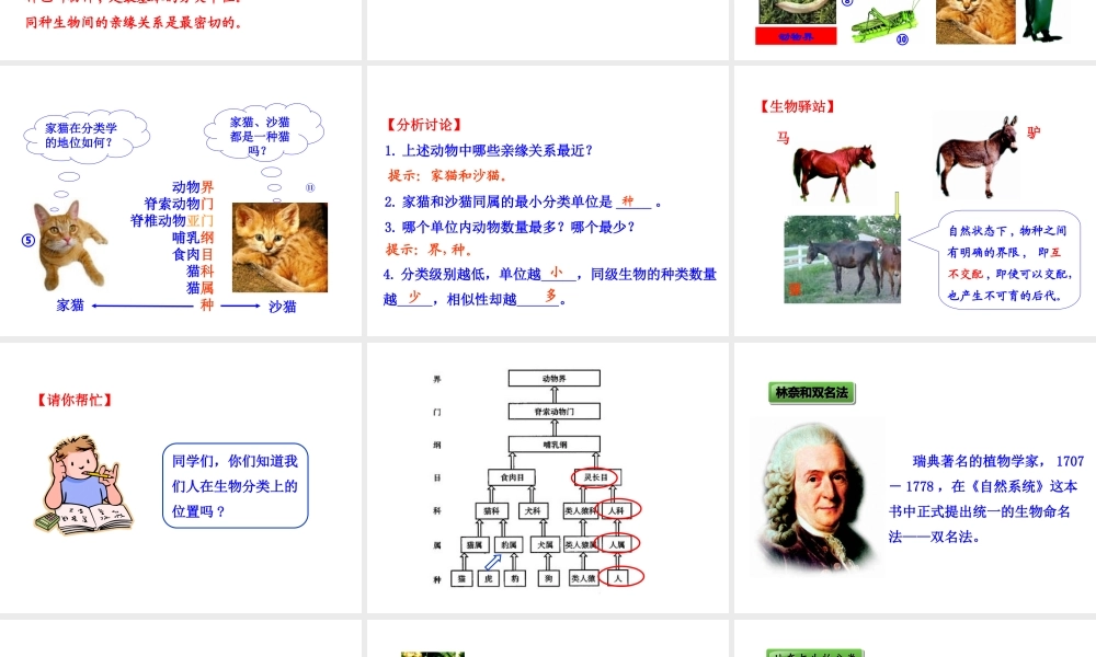 【世纪金榜】八年级生物上册 情境互动课型 6.1.2 从种到界课件 （新版）新人教版