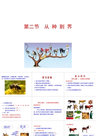 【世纪金榜】八年级生物上册 情境互动课型 6.1.2 从种到界课件 （新版）新人教版