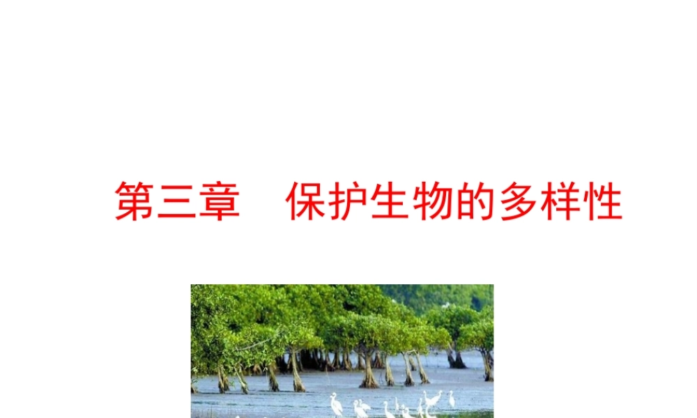 【世纪金榜】八年级生物上册 情境互动课型 6.3 保护生物的多样性课件 （新版）新人教版