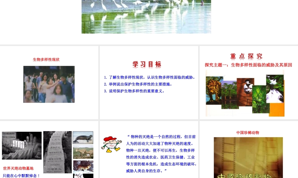 【世纪金榜】八年级生物上册 情境互动课型 6.3 保护生物的多样性课件 （新版）新人教版
