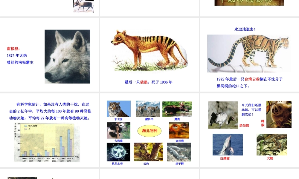 【世纪金榜】八年级生物上册 情境互动课型 6.3 保护生物的多样性课件 （新版）新人教版