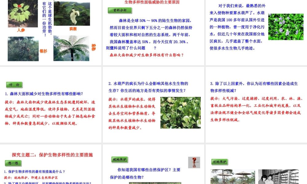 【世纪金榜】八年级生物上册 情境互动课型 6.3 保护生物的多样性课件 （新版）新人教版