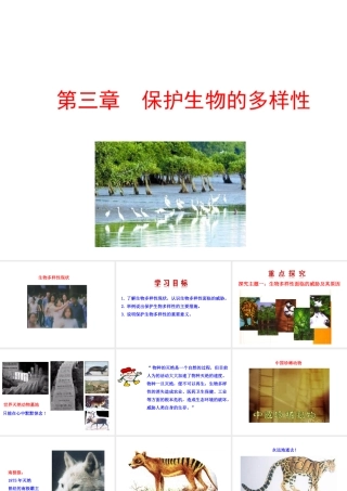 【世纪金榜】八年级生物上册 情境互动课型 6.3 保护生物的多样性课件 （新版）新人教版