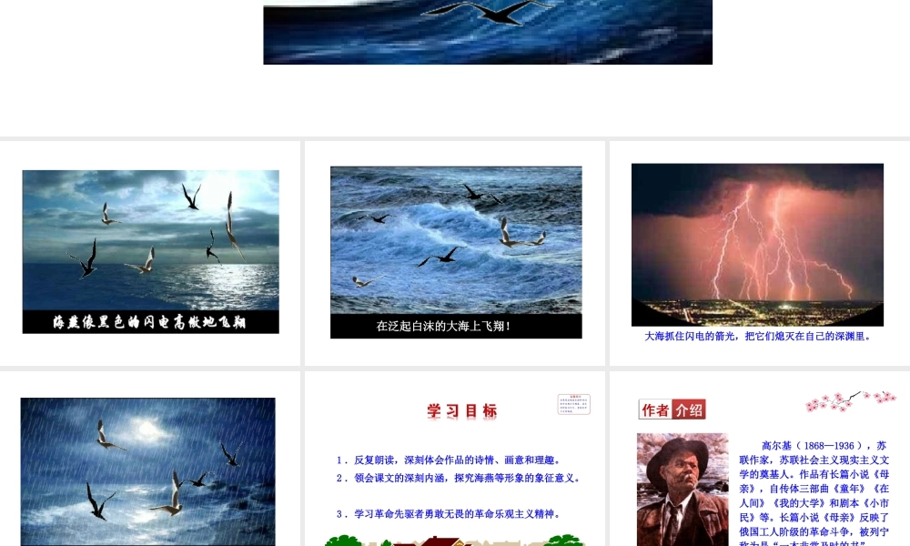 2019年九年级语文下册 第一单元 4 海燕课件 新人教版