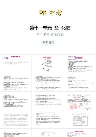 PK中考（湖南专用）中考化学总复习 第11单元 盐 化肥 第1课时 常见的盐课件-人教版初中九年级全册化学课件