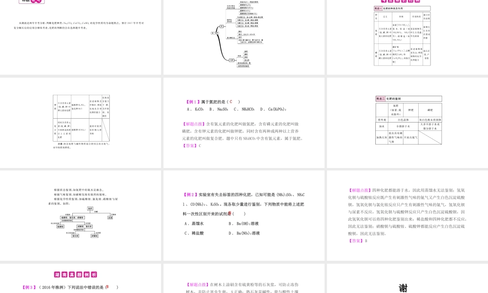 PK中考（湖南专用）中考化学总复习 第11单元 盐 化肥 第2课时 化肥课件-人教版初中九年级全册化学课件