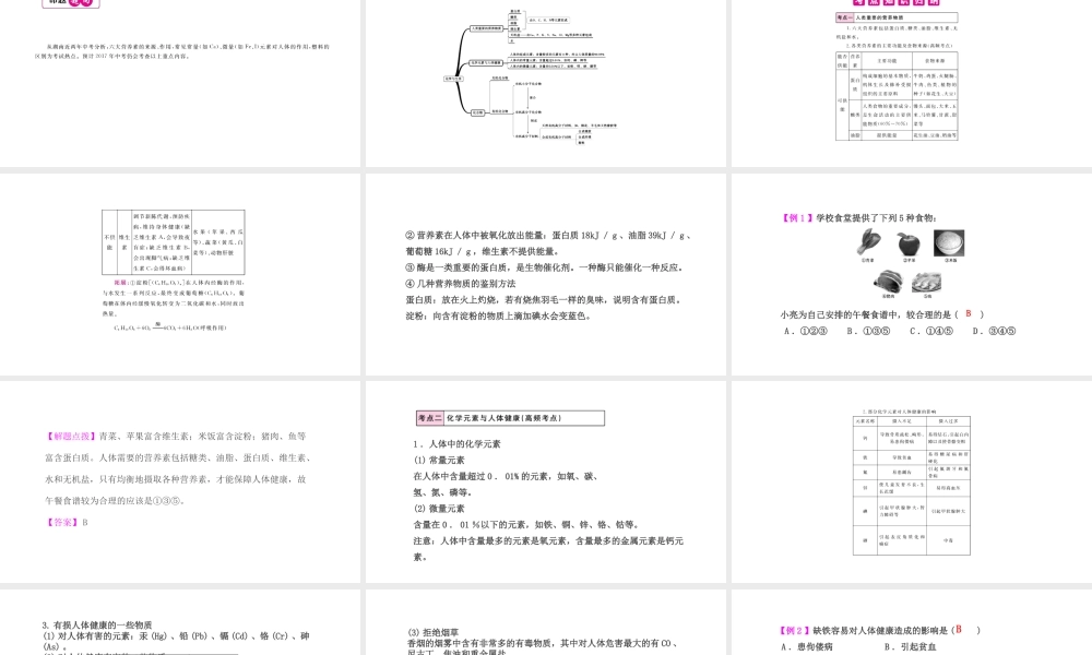PK中考（湖南专用）中考化学总复习 第12单元 化学与生活 第1课时 人类重要的营养物质课件-人教版初中九年级全册化学课件